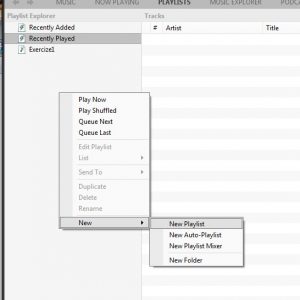 Using MusicBee To Manage Music And Playlists With FIIO X1 2nd Gen 